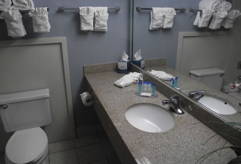 豪华房间, Travelodge By Wyndham Memphis Airport/graceland