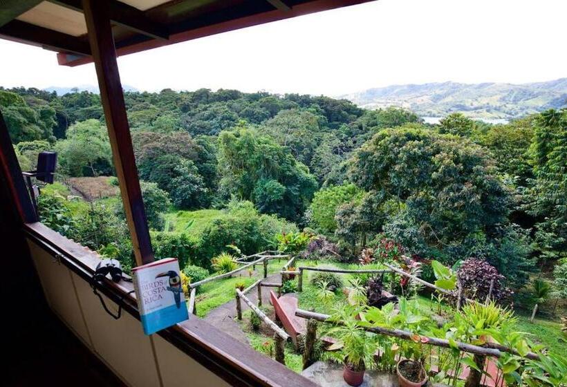 Family Suite, Toucan Lane Hotel And Restaurant