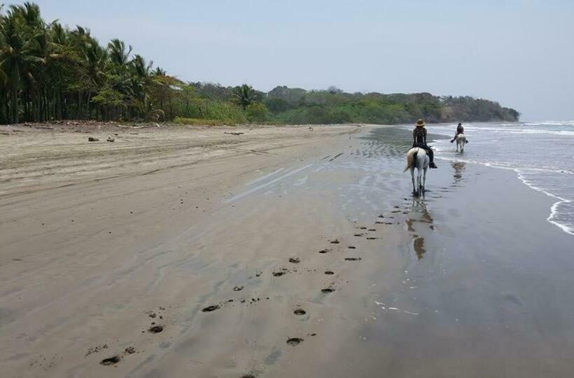 اتاق استاندارد با بالکن, El Chante Surf House
