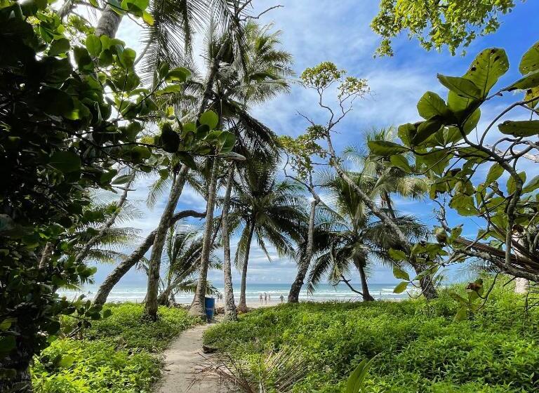اتاق استاندارد با تراس, El Chante Surf House