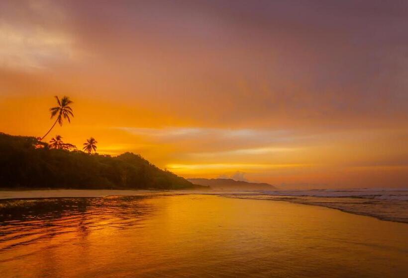 اتاق استاندارد, El Chante Surf House