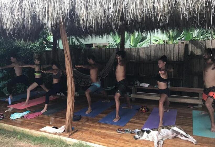 اتاق استاندارد, El Chante Surf House