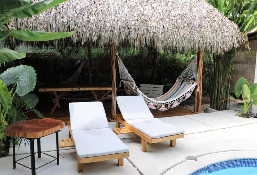 اتاق استاندارد با تراس, El Chante Surf House