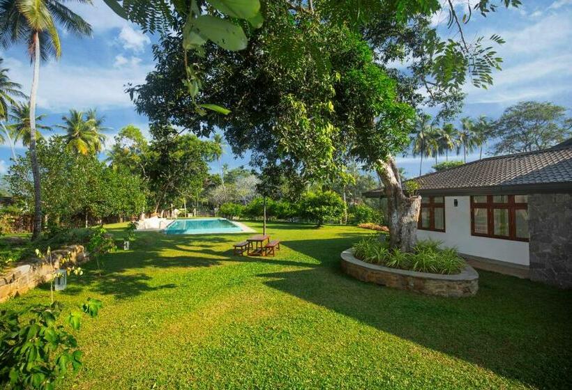 Люкс Повышенной Комфортности, Anodawa Boutique Villa