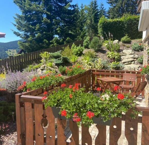 آپارتمان 1 خوابه همکف, Pension George