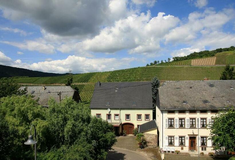 Апартаменты Deluxe 1 Спальня, Weingut Koch
