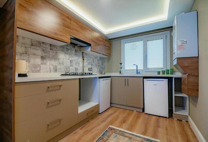 1 Bedroom Penthouse Apartment, Galata Hill