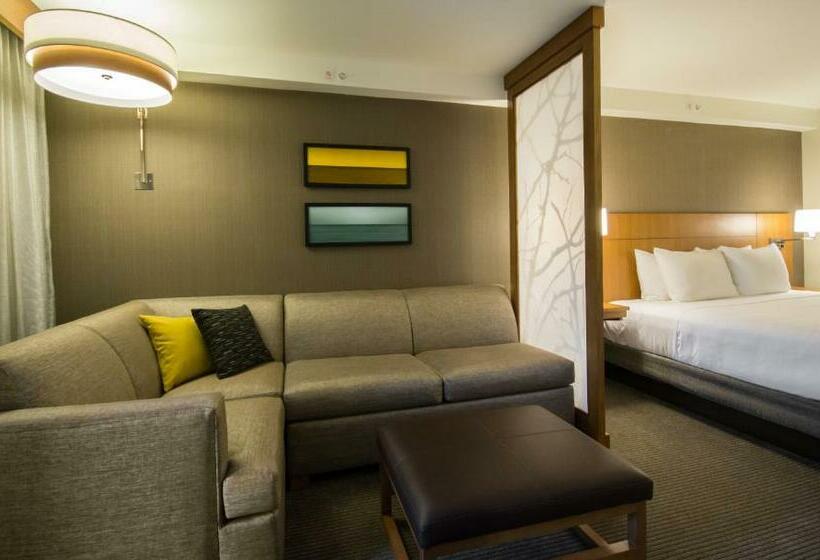 اتاق استاندارد با تخت بزرگ, Hyatt Place Daytona Beach Oceanfront