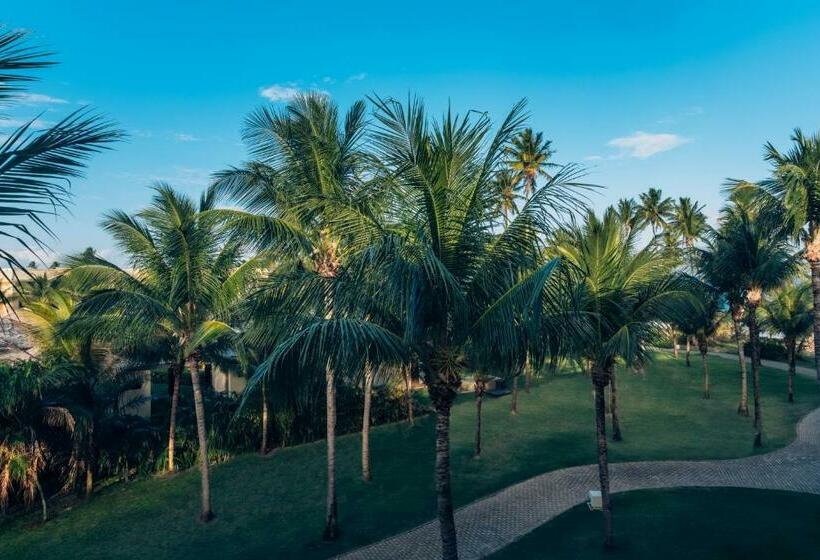 اتاق استاندارد, Iberostar Waves Bahia - All Inclusive