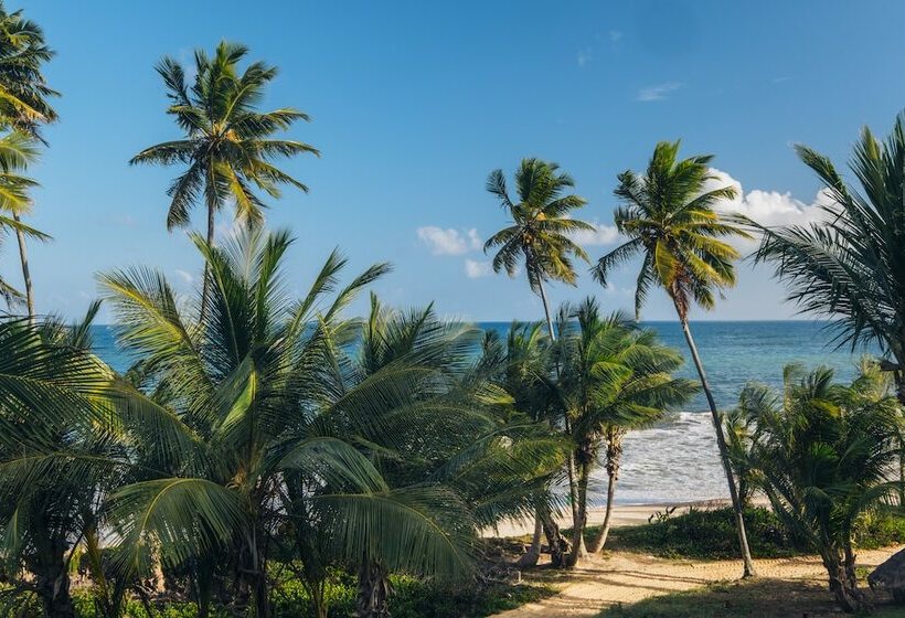 اتاق استاندارد, Iberostar Waves Bahia - All Inclusive