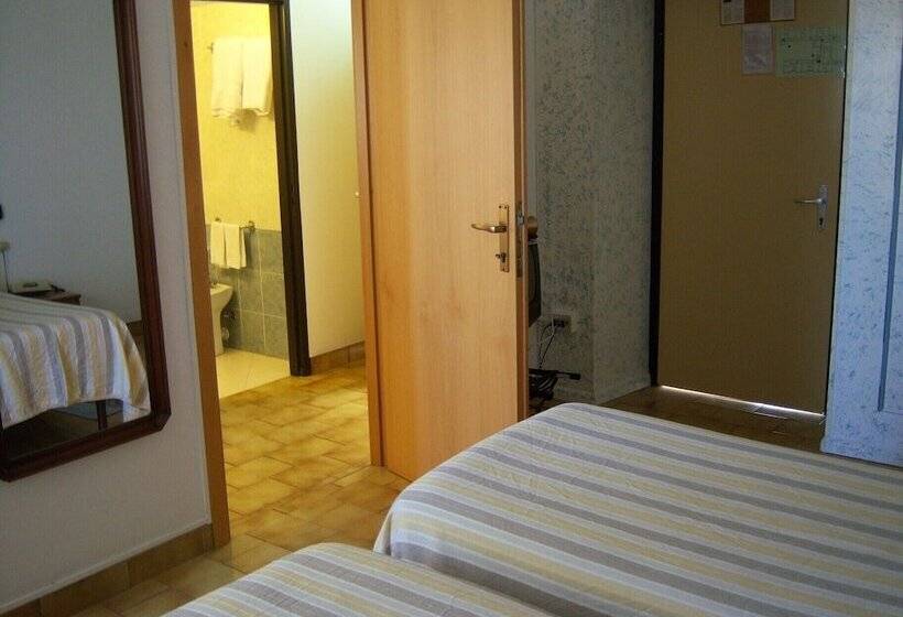 Номер Стандарт, Citti