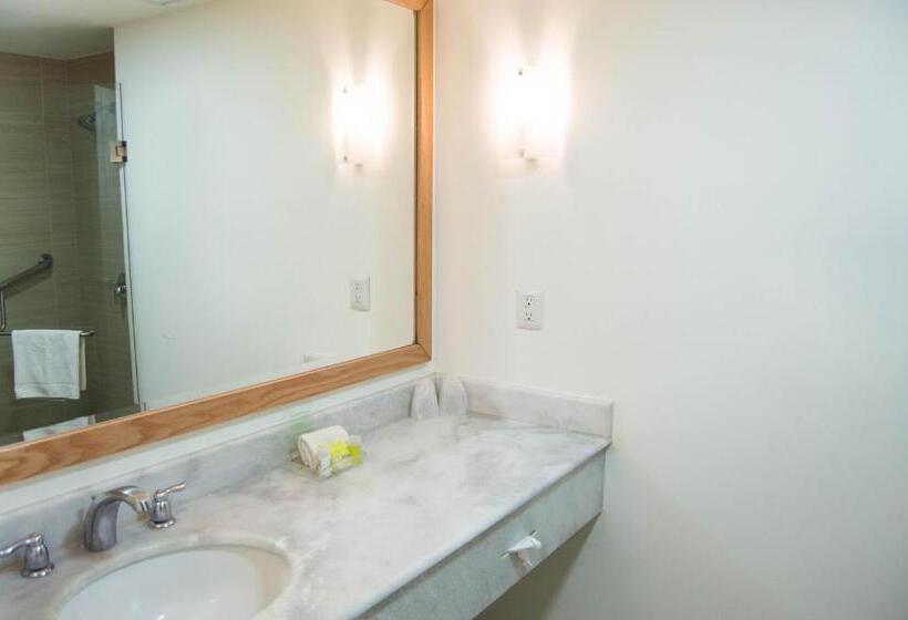 اتاق استاندارد با 2 تخت دوبل, Holiday Inn Hotel & Suites Centro Historico, An Ihg