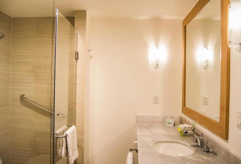 اتاق استاندارد با 2 تخت دوبل, Holiday Inn Hotel & Suites Centro Historico, An Ihg