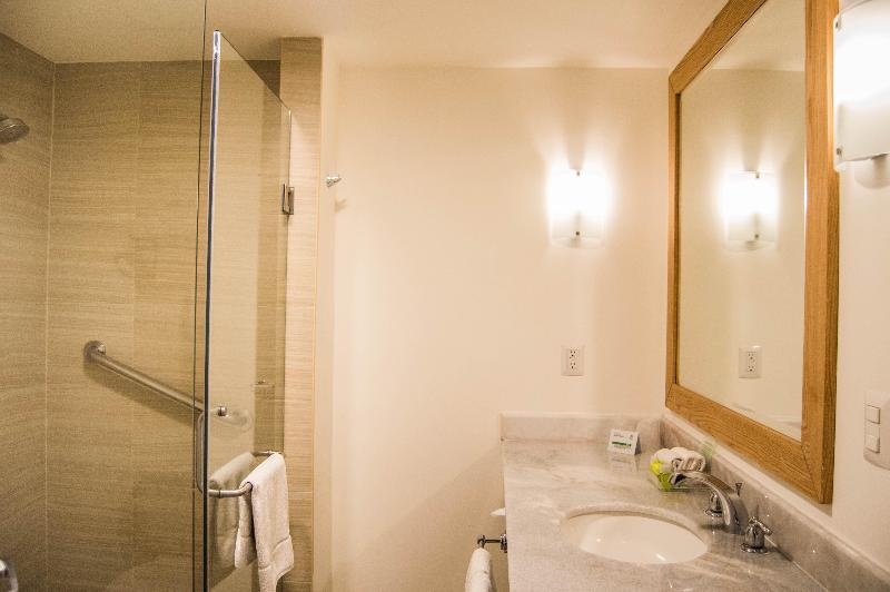 اتاق استاندارد با تخت بزرگ, Holiday Inn Hotel & Suites Centro Historico, An Ihg