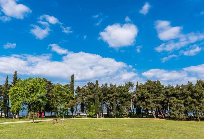 اتاق کلاسیک با تخت دوبل, Pelegrin Plava Laguna