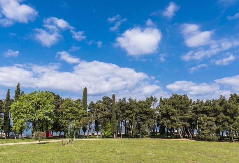 اتاق پریمیوم با بالکن, Pelegrin Plava Laguna