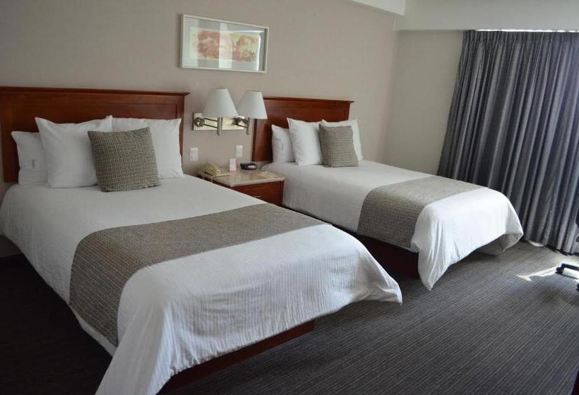 اتاق استاندارد, Casa Inn Business Hotel Celaya