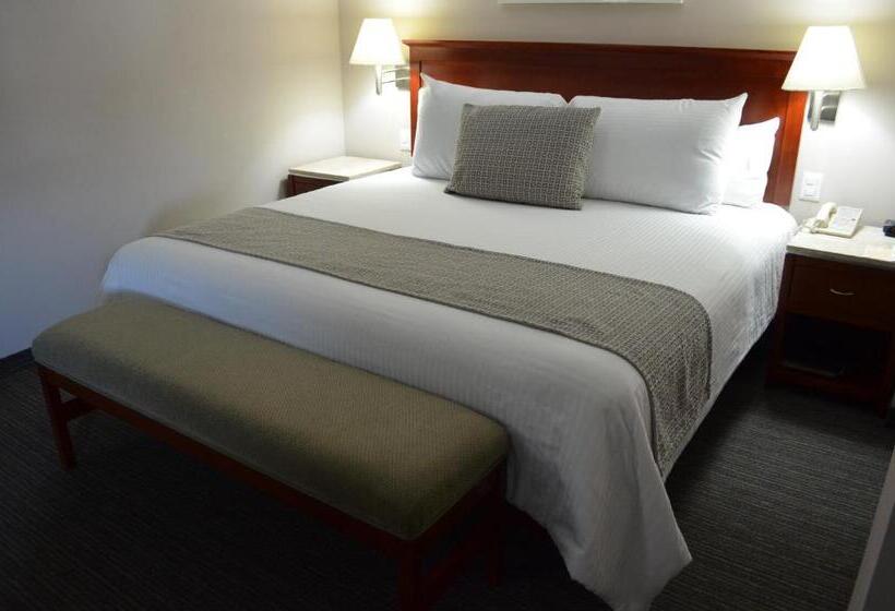 سوییت جونیور, Casa Inn Business Hotel Celaya