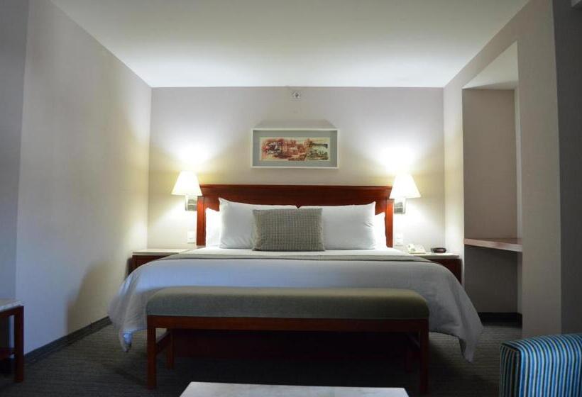 سوییت جونیور, Casa Inn Business Hotel Celaya