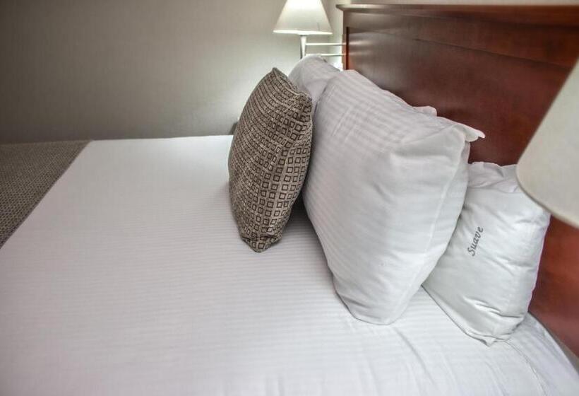 سوییت, Casa Inn Business Hotel Celaya