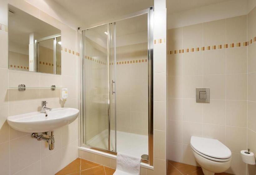 Standart Tek Kişilik Oda, Congress & Wellness Hotel Olsanka