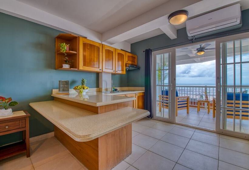 جناح سرير كينج, Tropical Suites