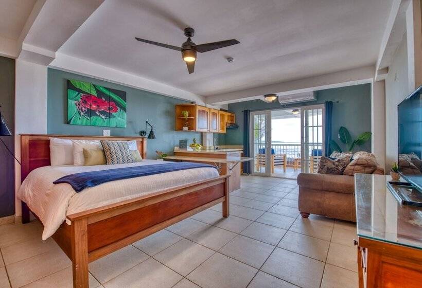 جناح سرير كينج, Tropical Suites