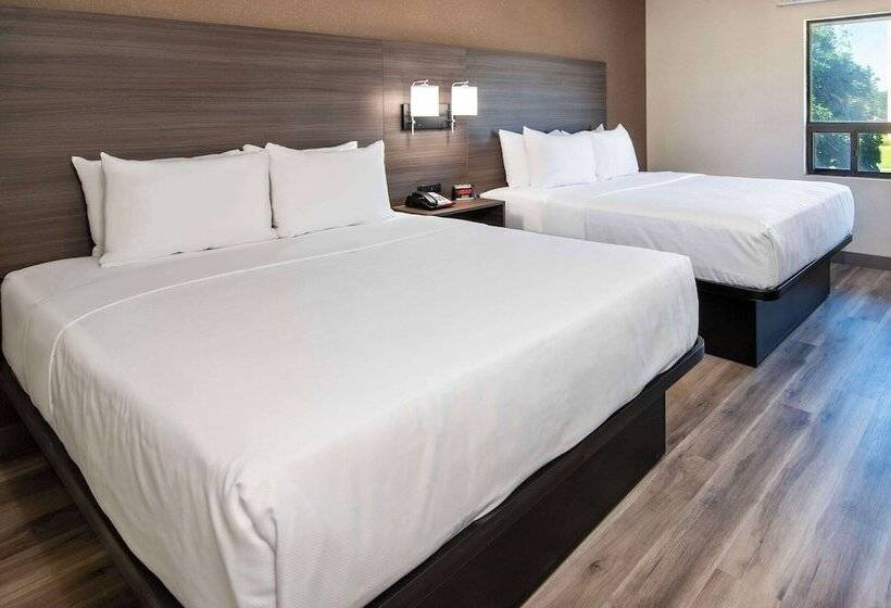 带2个双人床的标准工作室, Quality Inn