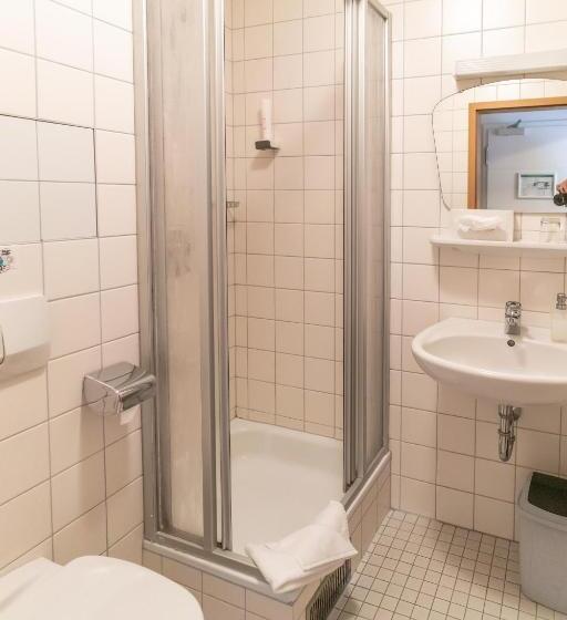 标准单人间, Altstadthotel Grauer Wolf