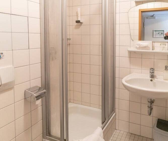 标准单人间, Altstadthotel Grauer Wolf