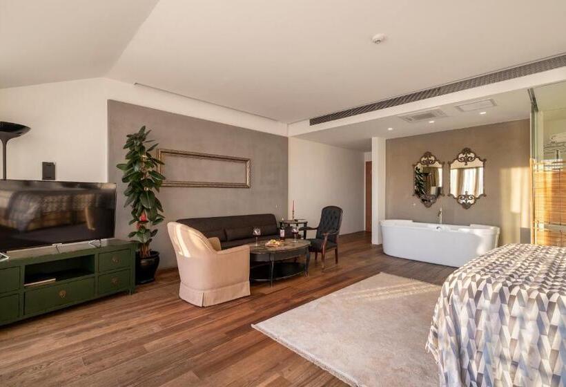 اتاق پنت هاوس, Ansen Hotel And Suites