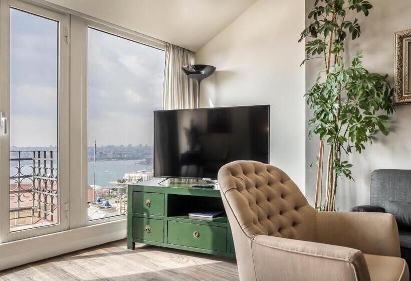 اتاق پنت هاوس, Ansen Hotel And Suites