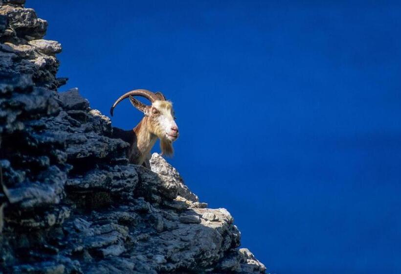 اتاق راحتی, Capo D Orto   Porto   Corse