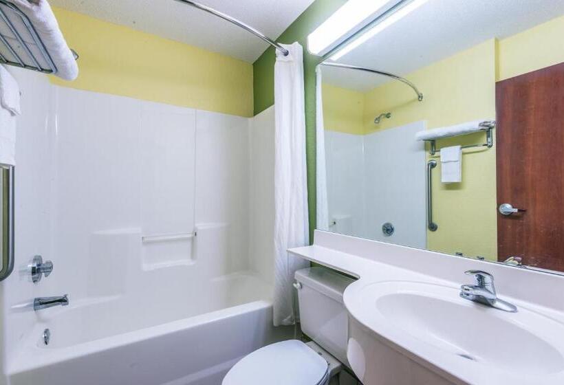 Люкс, Microtel Inn & Suites By Wyndham Auburn
