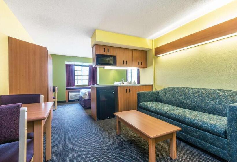 Номер Deluxe Адаптированный для Инвалидов, Microtel Inn & Suites By Wyndham Auburn