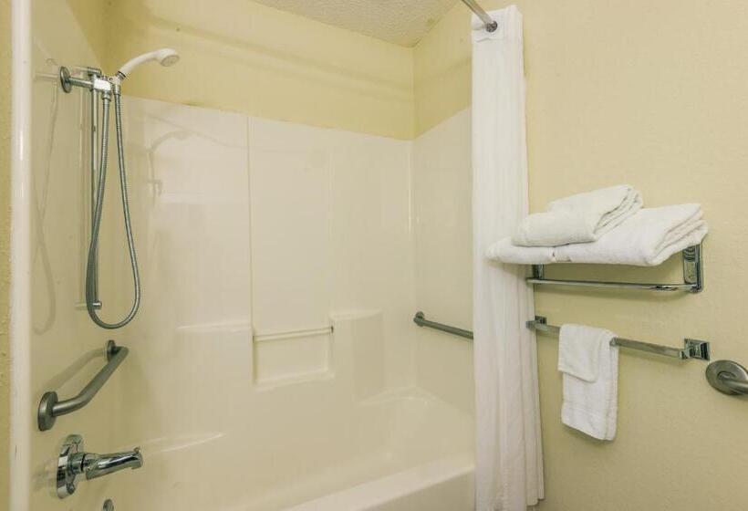 Номер Deluxe Адаптированный для Инвалидов, Microtel Inn & Suites By Wyndham Auburn