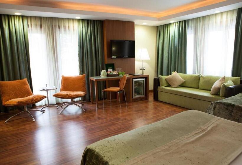 高级套房, Limak Ambassadore Hotel Ankara