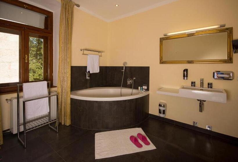 Standard Room with Balcony, Seehotel Grüner Baum