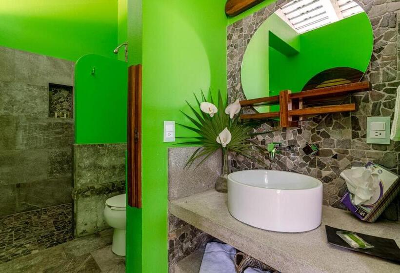 اتاق استاندارد با تخت بزرگ, Suites La Hacienda