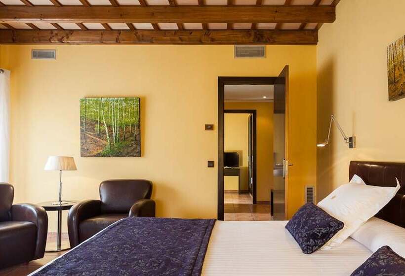 Номер Стандарт Трехместный, Vall De Bas