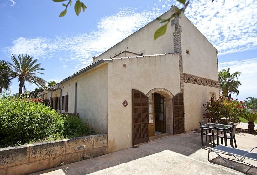 Superior Room with Terrace, Agroturisme Na Martina