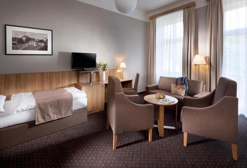스탠다드 싱글 룸, Badenia Hotel Praha