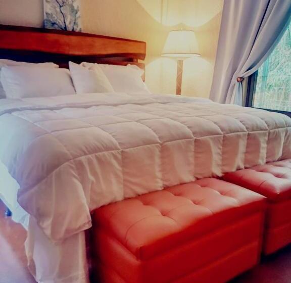 اتاق لوکس با تخت بزرگ, Vive Utila   Bed & Breakfast