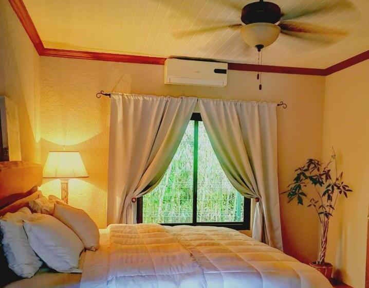 اتاق لوکس با تخت بزرگ, Vive Utila   Bed & Breakfast