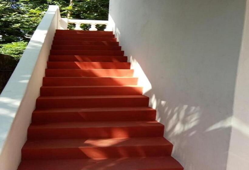 اتاق لوکس, Aashikha Farm House