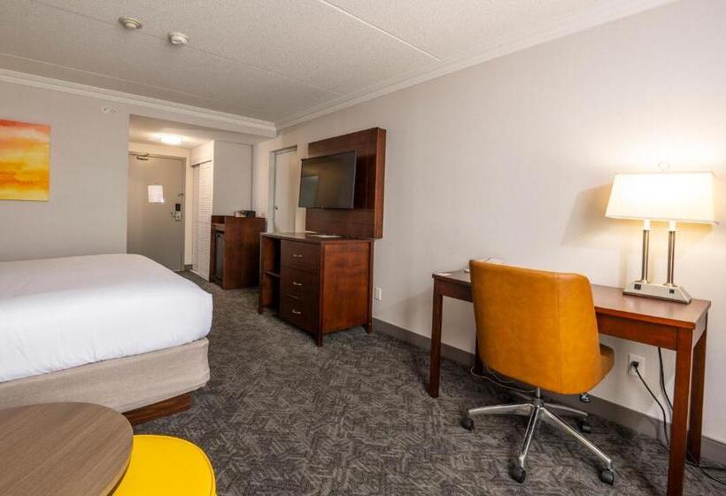 스탠다드 룸 킹사이즈 침대, Comfort Inn & Conference Centre Toronto Airport