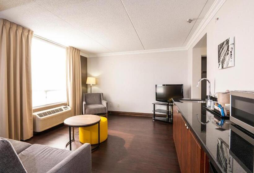 스위트 킹사이즈 침대, Comfort Inn & Conference Centre Toronto Airport