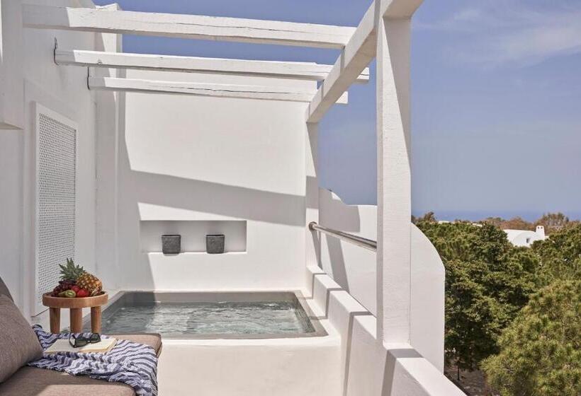 اتاق پرمیوم, Loizos Stylish Residences