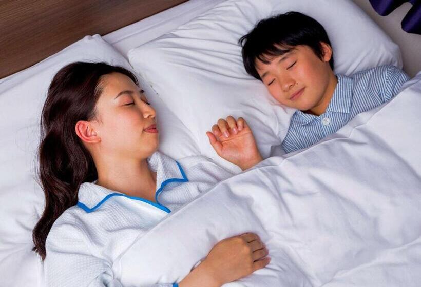 اتاق استاندارد, Comfort Hotel Nara