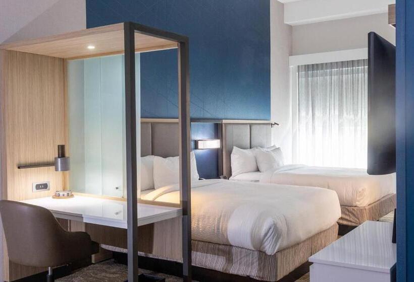 Люкс Адаптированный для Инвалидов, Springhill Suites By Marriott Slidell